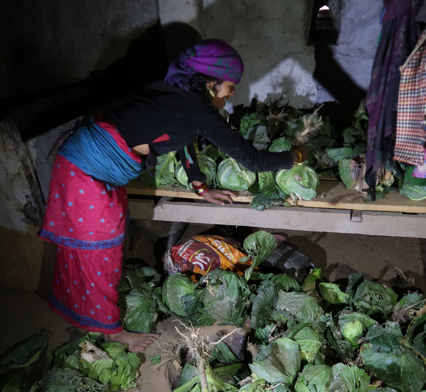 Eine der Bäuerinnen aus dem Dorf Dhainakot zeigt ihre eingelagerte Kohlernte – frisches Gemüse gab es dort vor dem Input von PHASE nicht.