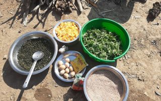Landwirtschaftliche Unterstützung, Bhee, Mugu