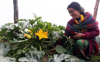 Farm visit Nepal - Phase Austria