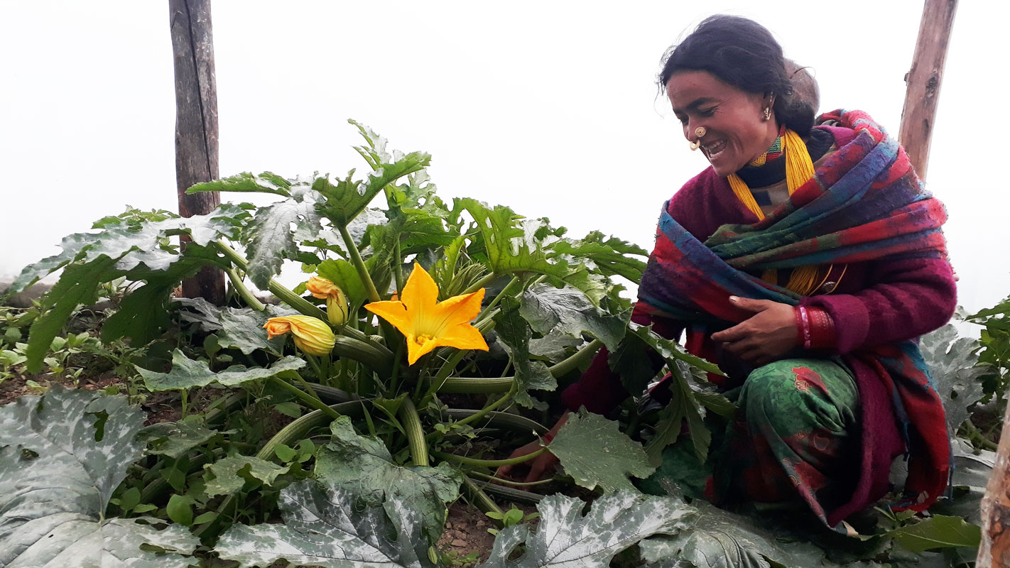 Farm visit Nepal - Phase Austria